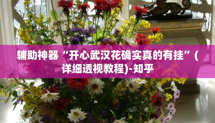 教程辅助“天天忻州麻将怎么开挂”(详细透视教程)-知乎