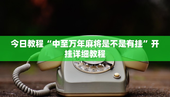 辅助神器“捉住捣蛋鸡麻将开挂免费软件下载”(详细透视教程)-知乎
