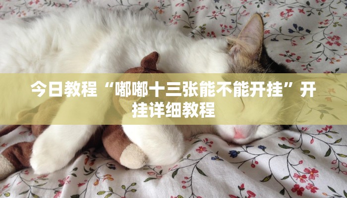 教程辅助!“hhpoker德州透视挂”2025开挂教程步骤