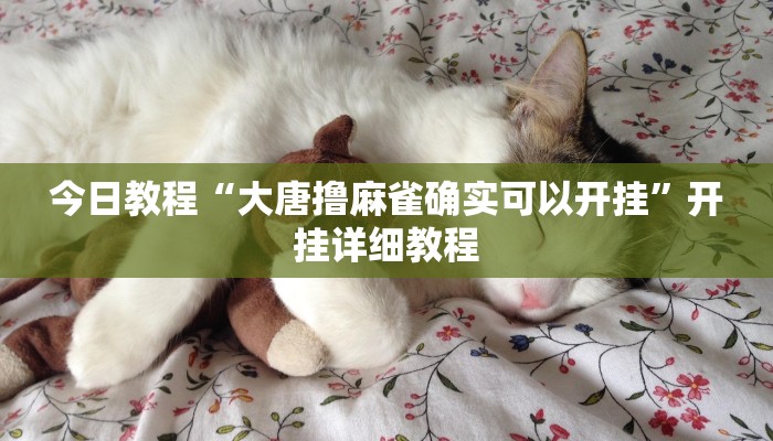 今日教程“大唐撸麻雀确实可以开挂”开挂详细教程 今日教程“大唐撸麻雀确实可以开挂”开挂详细教程