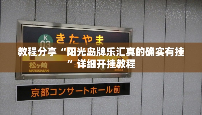 辅助神器“天天武汉麻将系统作弊辅助工具”详细开挂教程 辅助神器“天天武汉麻将系统作弊辅助工具”详细开挂教程