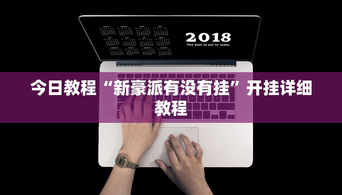 今日教程“新豪派有没有挂”开挂详细教程