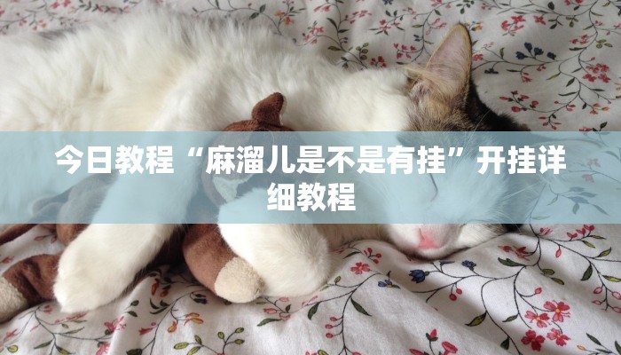 今日教程“麻溜儿是不是有挂”开挂详细教程 今日教程“麻溜儿是不是有挂”开挂详细教程