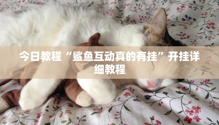 今日教程“鲨鱼互动真的有挂”开挂详细教程