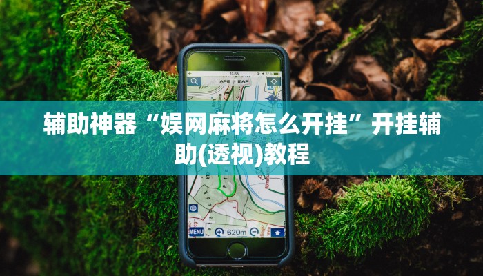 辅助神器“娱网麻将怎么开挂”开挂辅助(透视)教程 辅助神器“娱网麻将怎么开挂”开挂辅助(透视)教程