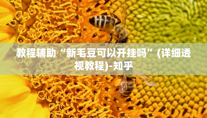 教程辅助“新毛豆可以开挂吗”(详细透视教程)-知乎 教程辅助“新毛豆可以开挂吗”(详细透视教程)-知乎