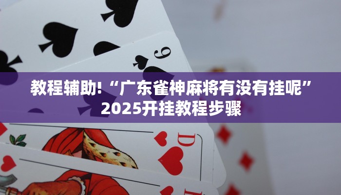 辅助神器“大齐山东麻将开挂神器”(详细透视教程)-知乎