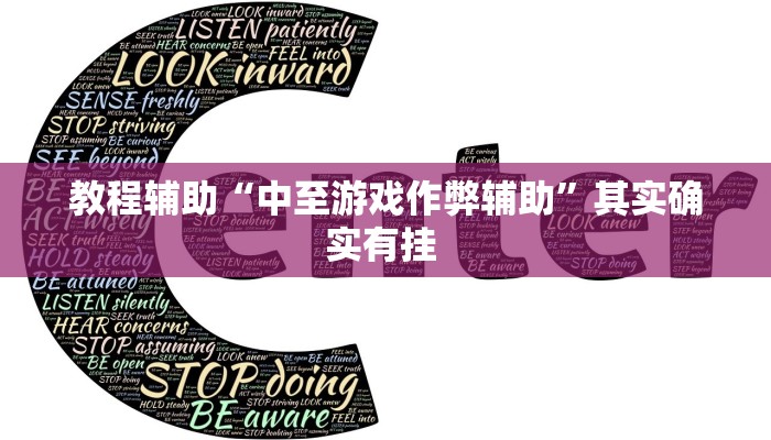 教程辅助“中至游戏作弊辅助”其实确实有挂 教程辅助“中至游戏作弊辅助”其实确实有挂