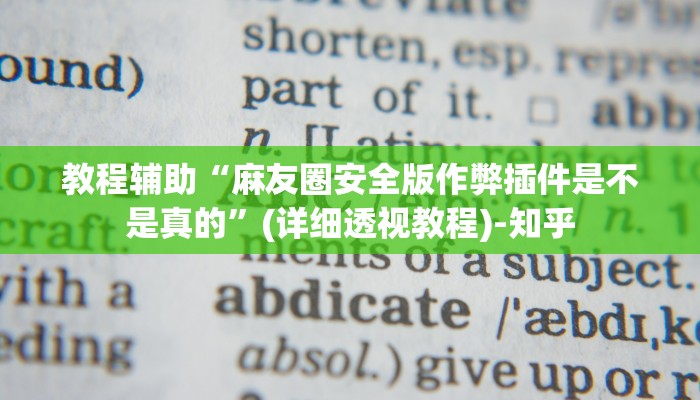 辅助神器“方片十三张其实真有透视挂”详细开挂教程