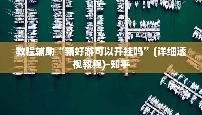 教程辅助“新好游可以开挂吗”(详细透视教程)-知乎