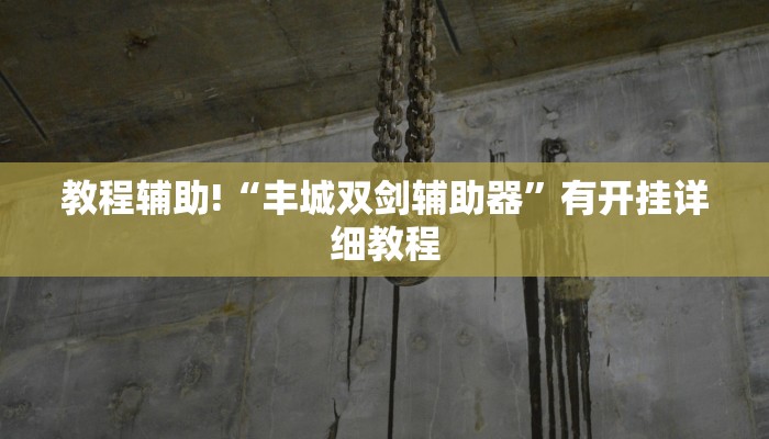 教程辅助!“丰城双剑辅助器”有开挂详细教程
