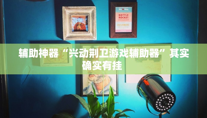 辅助神器“兴动荆卫游戏辅助器”其实确实有挂 