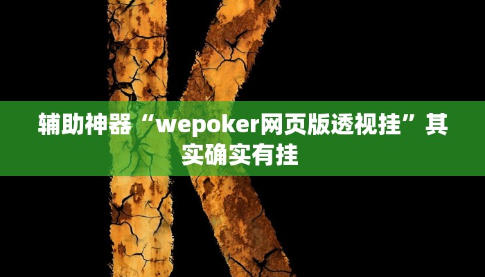 辅助神器“wepoker网页版透视挂”其实确实有挂 