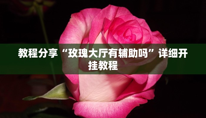 教程分享“玫瑰大厅有辅助吗”详细开挂教程