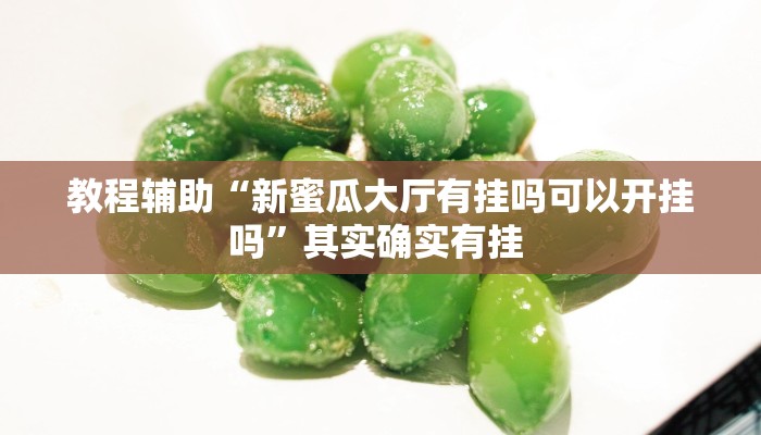 教程辅助“新蜜瓜大厅有挂吗可以开挂吗”其实确实有挂 