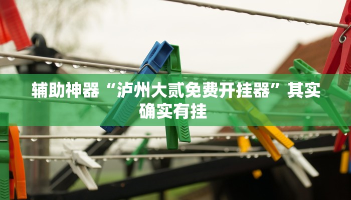 辅助神器“泸州大贰免费开挂器”其实确实有挂 