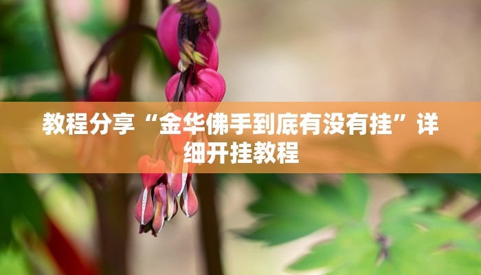 教程分享“金华佛手到底有没有挂”详细开挂教程 教程分享“金华佛手到底有没有挂”详细开挂教程