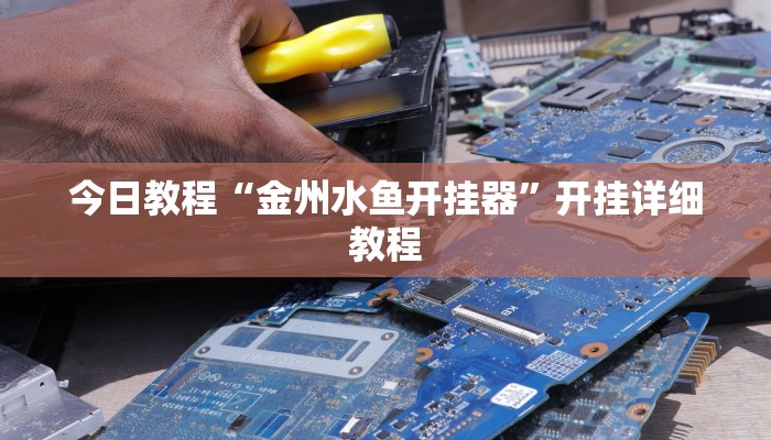 今日教程“金州水鱼开挂器”开挂详细教程