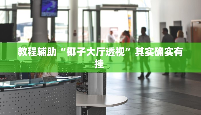 教程辅助“椰子大厅透视”其实确实有挂 