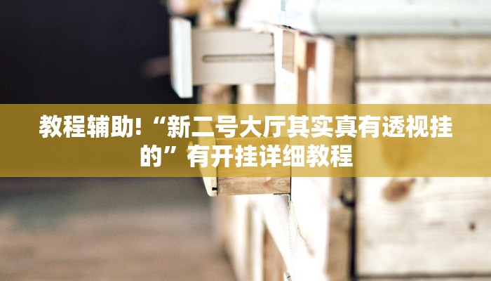 教程辅助!“新二号大厅其实真有透视挂的”有开挂详细教程