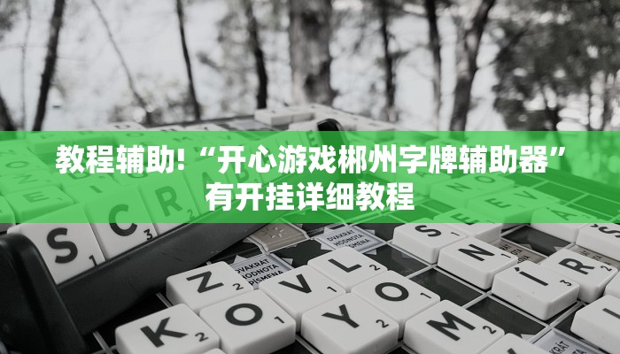 教程辅助!“开心游戏郴州字牌辅助器”有开挂详细教程
