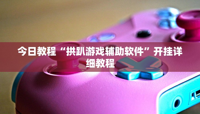 今日教程“拱趴游戏辅助软件”开挂详细教程