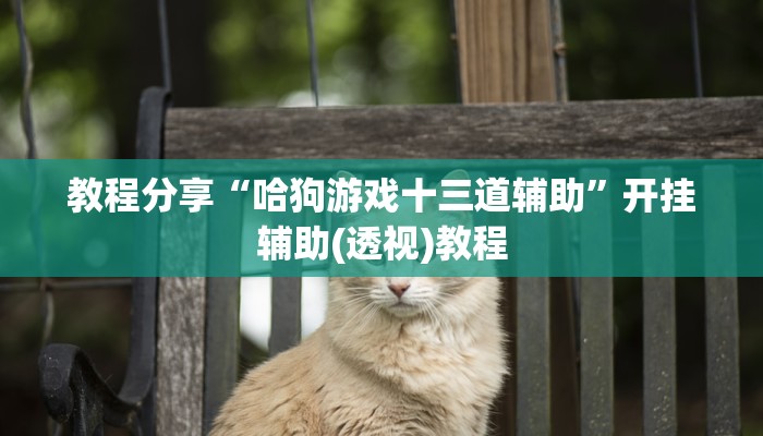 今日教程“大众茶苑能不能开挂”开挂详细教程