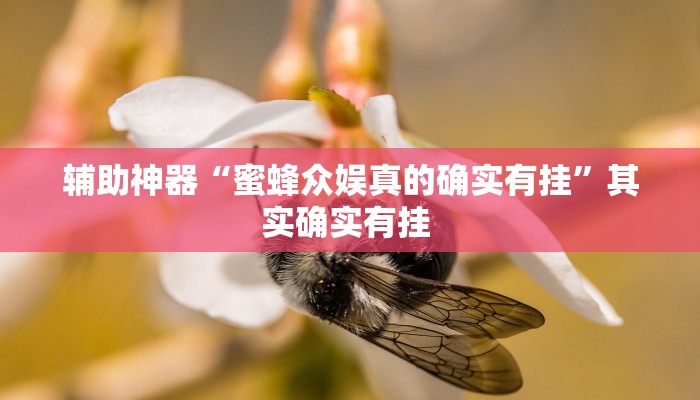 辅助神器“蜜蜂众娱真的确实有挂”其实确实有挂 辅助神器“蜜蜂众娱真的确实有挂”其实确实有挂