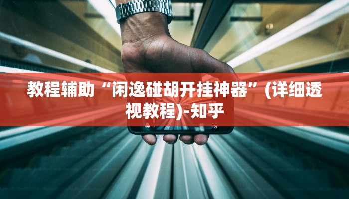 教程辅助“闲逸碰胡开挂神器”(详细透视教程)-知乎