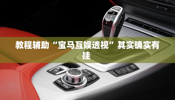 教程辅助“宝马互娱透视”其实确实有挂 