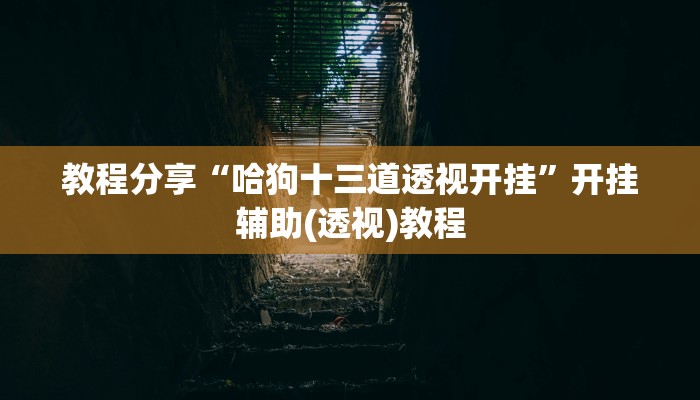 教程分享“哈狗十三道透视开挂”开挂辅助(透视)教程