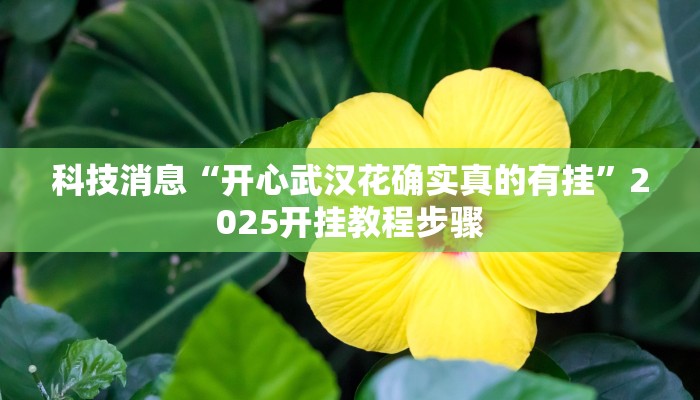 科技消息“开心武汉花确实真的有挂”2025开挂教程步骤 科技消息“开心武汉花确实真的有挂”2025开挂教程步骤