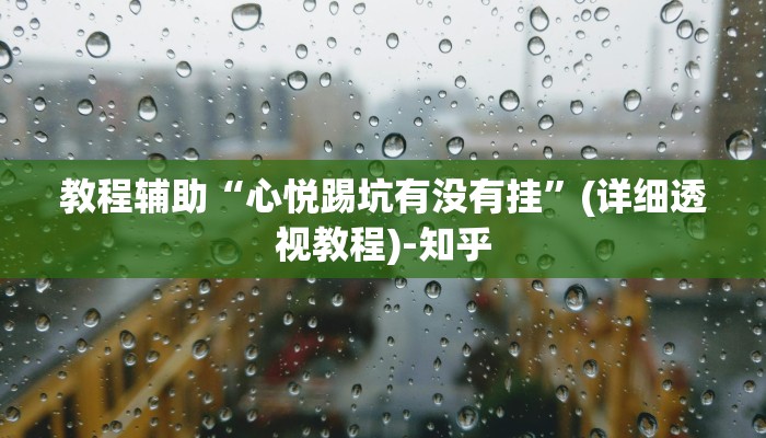 教程辅助“心悦踢坑有没有挂”(详细透视教程)-知乎