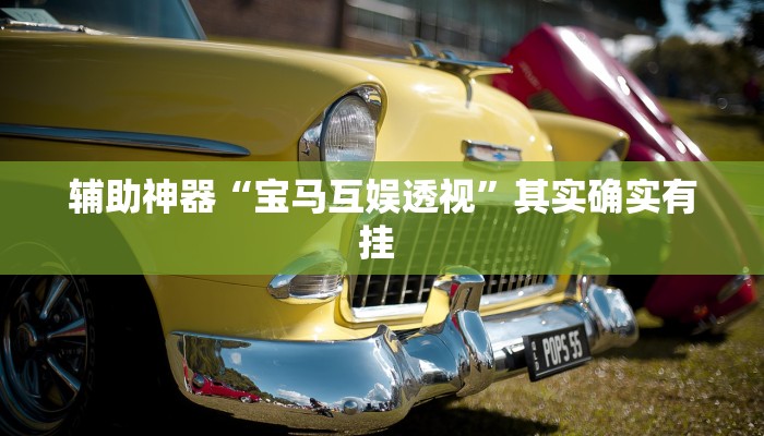 辅助神器“宝马互娱透视”其实确实有挂 