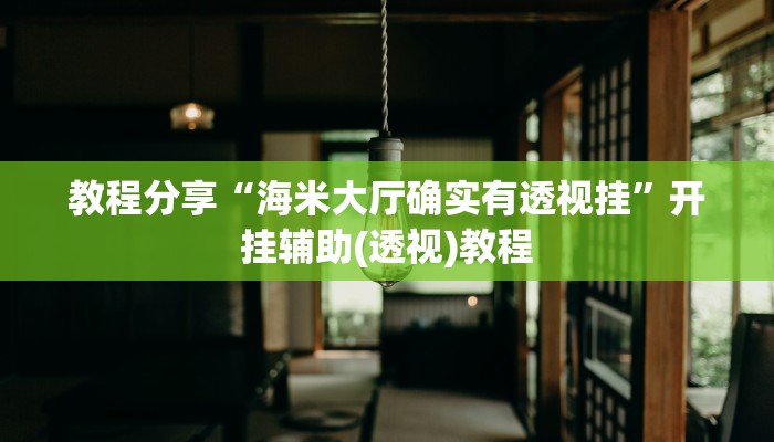 教程分享“海米大厅确实有透视挂”开挂辅助(透视)教程
