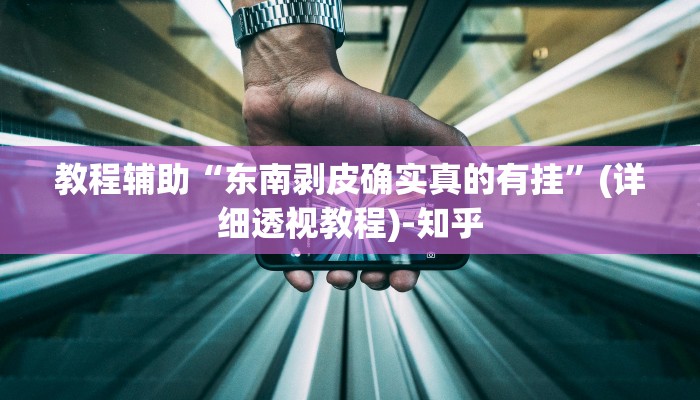 教程辅助“东南剥皮确实真的有挂”(详细透视教程)-知乎