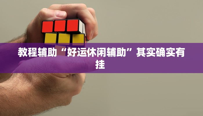 教程辅助“好运休闲辅助”其实确实有挂 