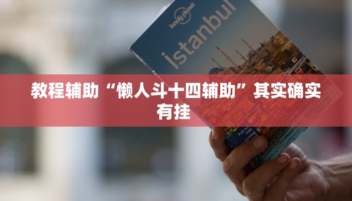 教程辅助“懒人斗十四辅助”其实确实有挂 