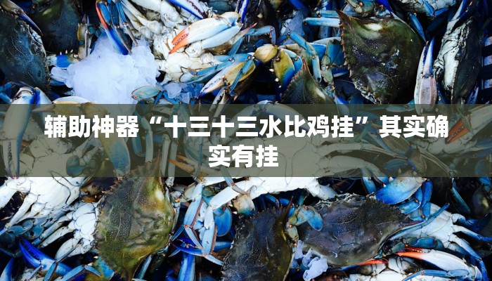 辅助神器“十三十三水比鸡挂”其实确实有挂 