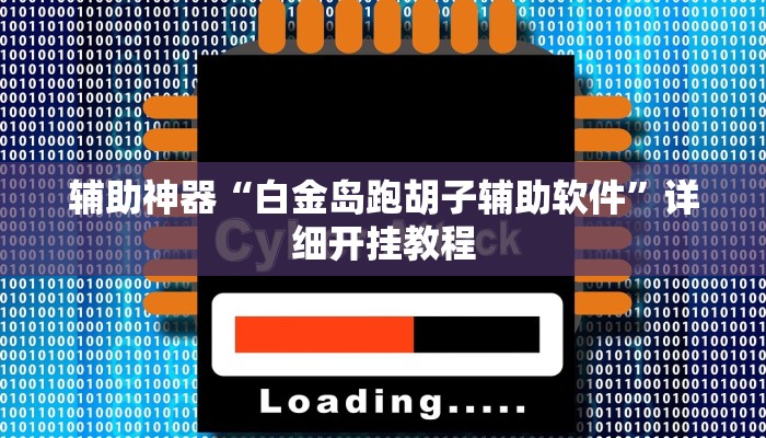 辅助神器“白金岛跑胡子辅助软件”详细开挂教程