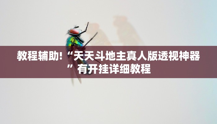 教程辅助!“天天斗地主真人版透视神器”有开挂详细教程 教程辅助!“天天斗地主真人版透视神器”有开挂详细教程