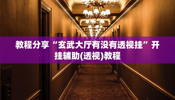 教程分享“玄武大厅有没有透视挂”开挂辅助(透视)教程