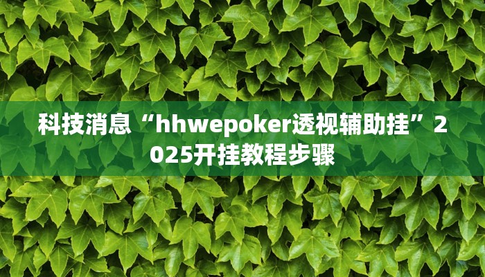科技消息“hhwepoker透视辅助挂”2025开挂教程步骤 科技消息“hhwepoker透视辅助挂”2025开挂教程步骤