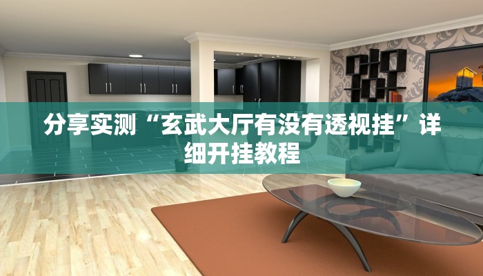 分享实测“玄武大厅有没有透视挂”详细开挂教程