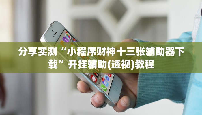 分享实测“小程序财神十三张辅助器下载”开挂辅助(透视)教程 分享实测“小程序财神十三张辅助器下载”开挂辅助(透视)教程