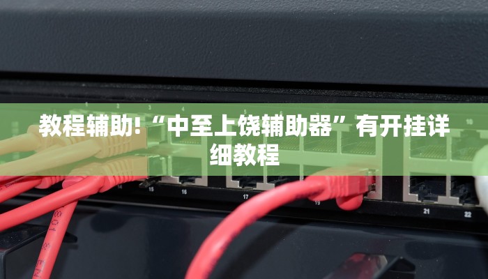 实测教程”微乐河南麻将小程序万能挂免费版”其实确实有挂