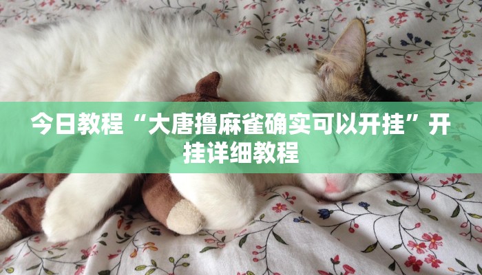 今日教程“大唐撸麻雀确实可以开挂”开挂详细教程 今日教程“大唐撸麻雀确实可以开挂”开挂详细教程