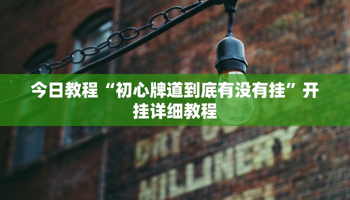 今日教程“初心牌道到底有没有挂”开挂详细教程 今日教程“初心牌道到底有没有挂”开挂详细教程
