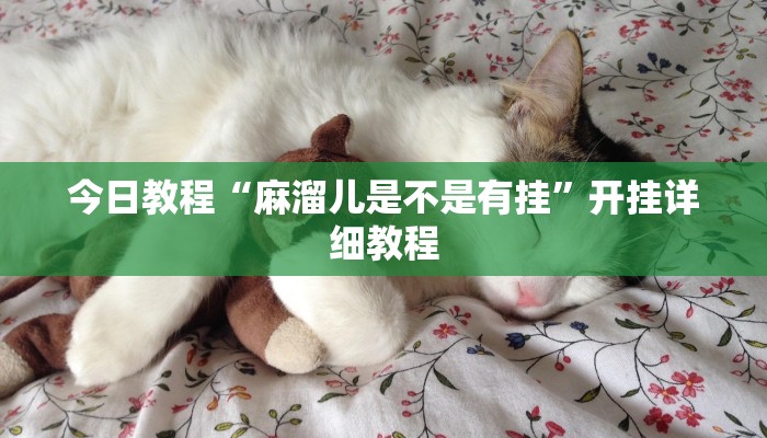 今日教程“麻溜儿是不是有挂”开挂详细教程