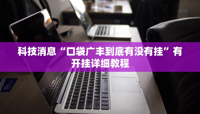 科技消息“口袋广丰到底有没有挂”有开挂详细教程